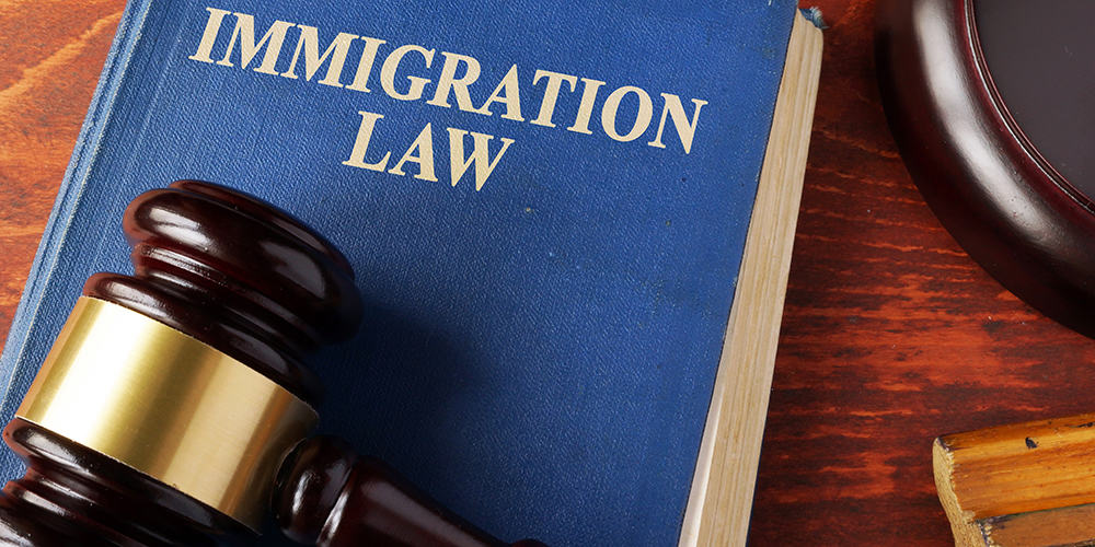 Immigration Law