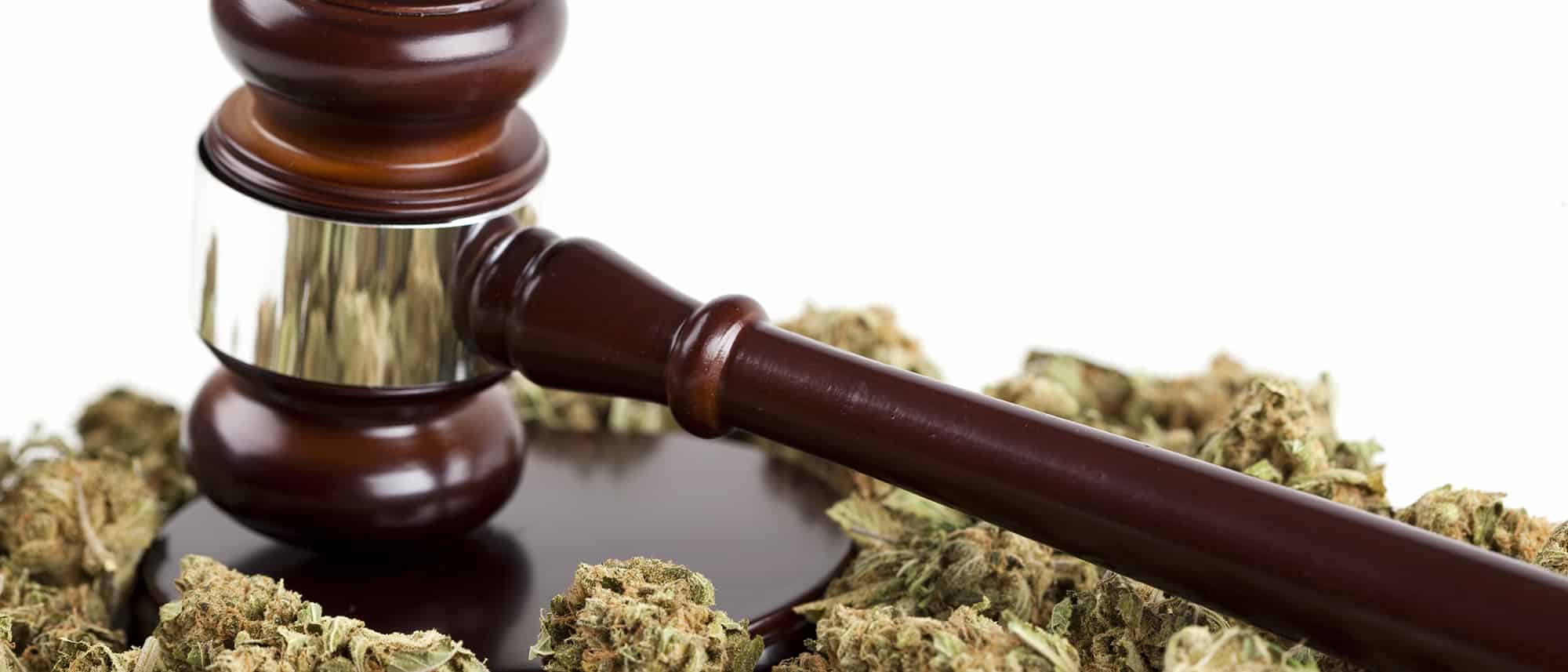 gavel and marijuana