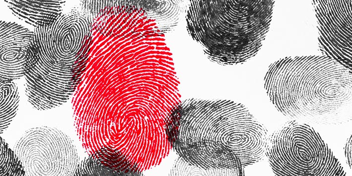 federal rules of evidence fingerprints